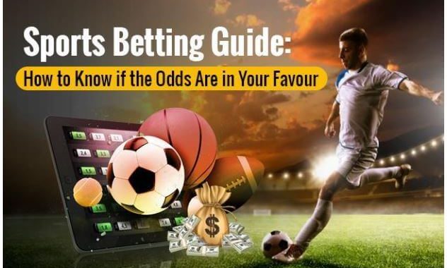 sports betting guide