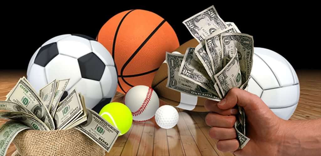 Betting on niche sports