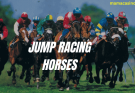 jump racing horses