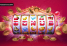 Casino Bonuses