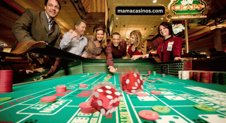 Beginner casino player learning tips and strategies for online games