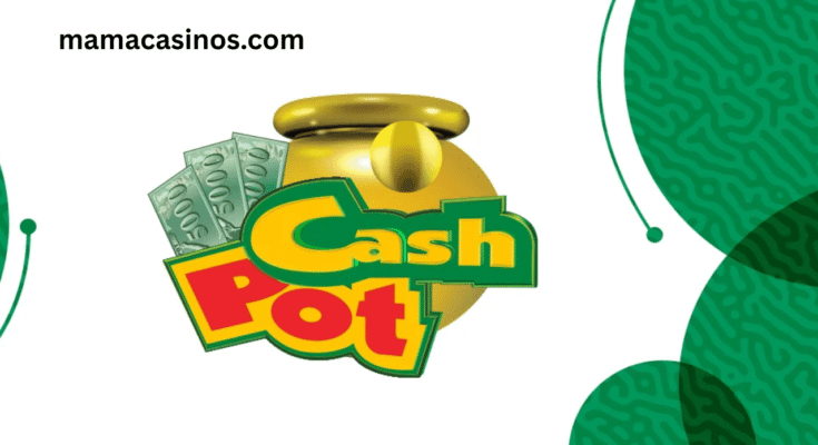 Cash Pot Live game wheel with live dealer and players