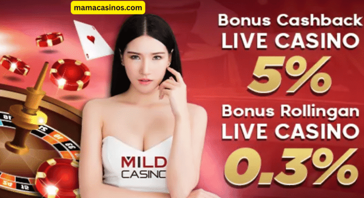 Reasons to choose MildCasino online